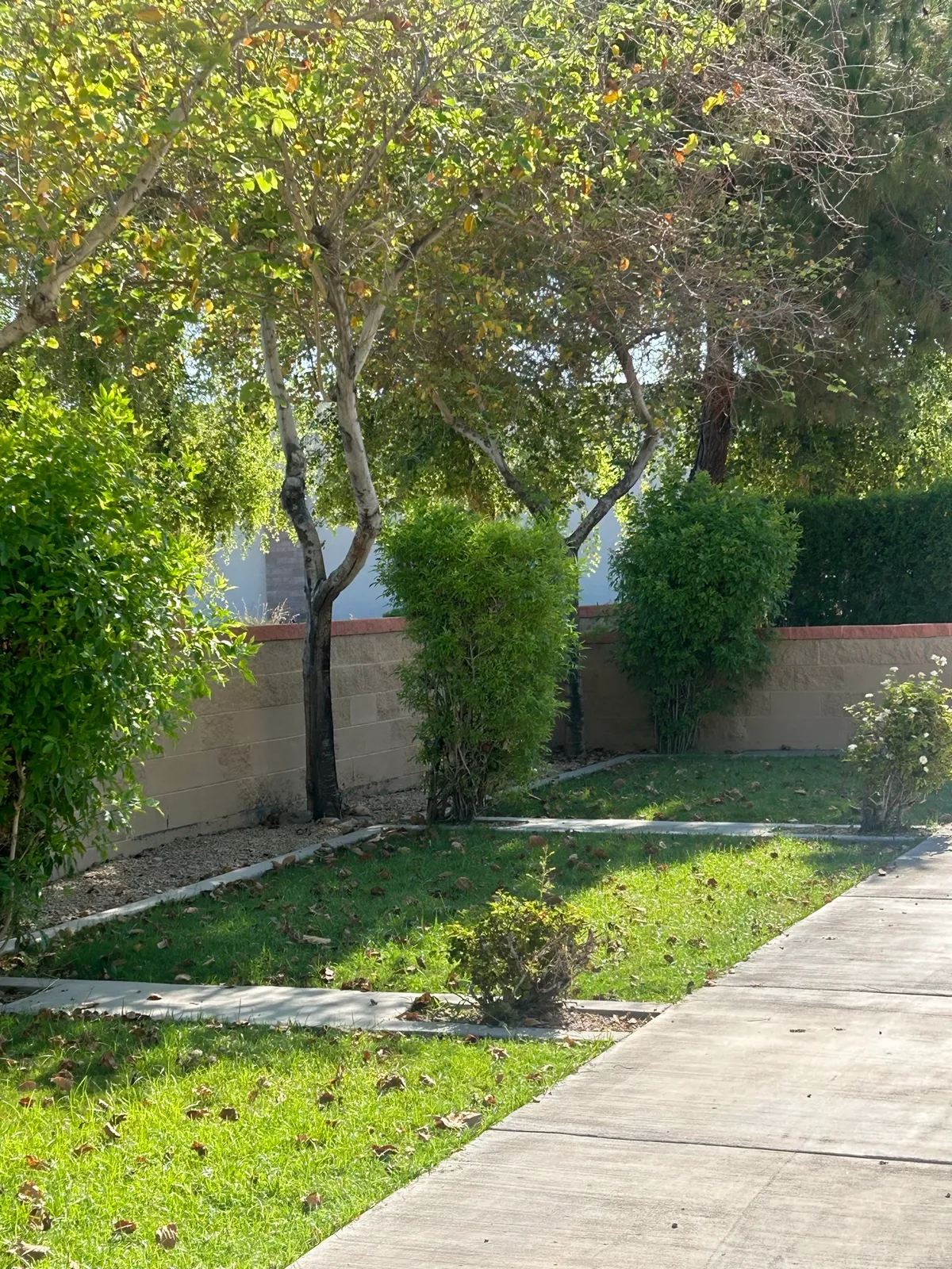 Garden pathway
