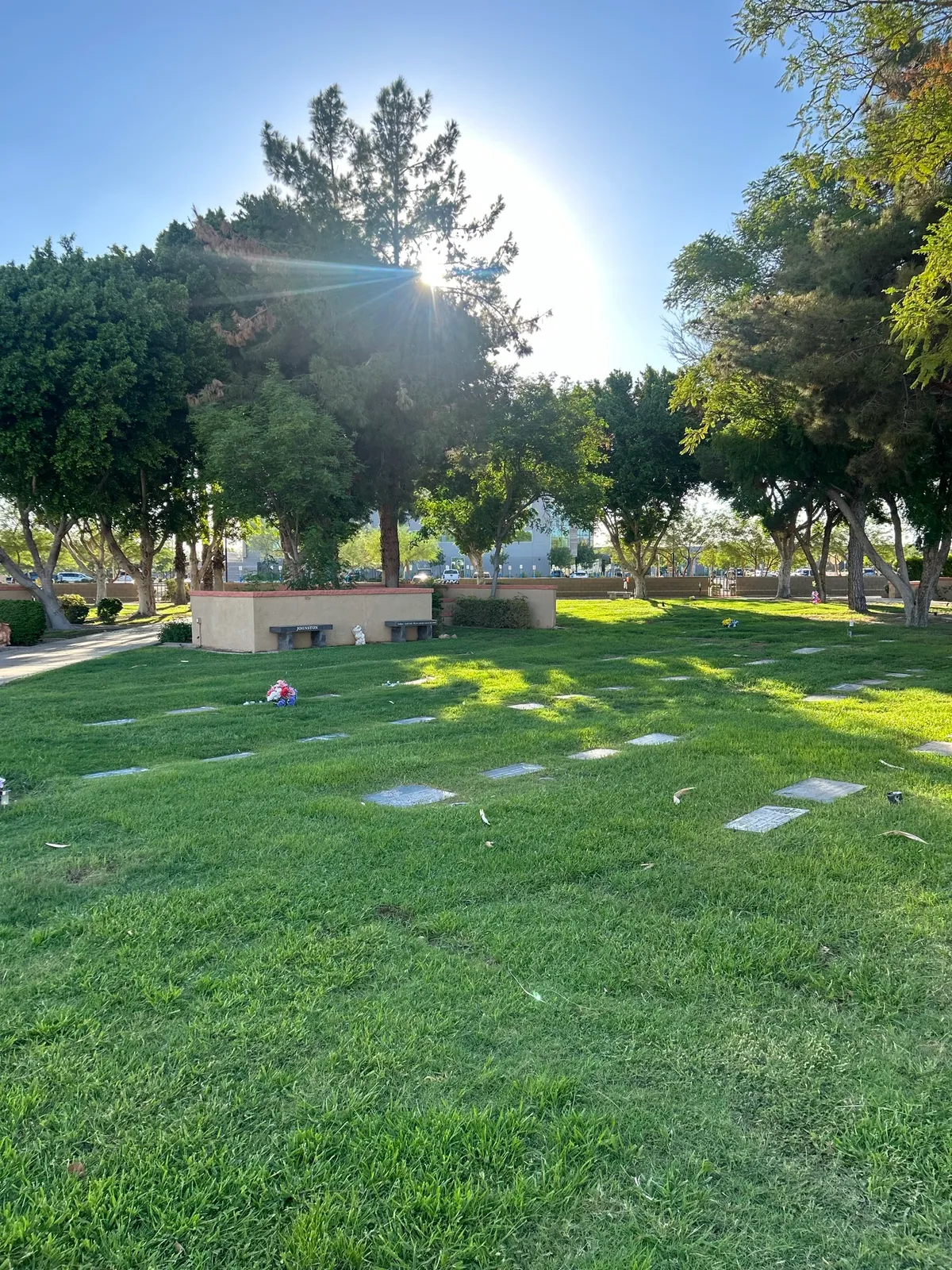 Maintained grounds